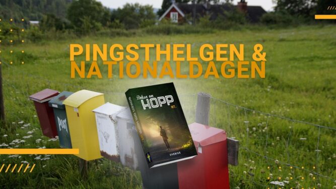 Pingsthelgen nationaldagen bibelutdelning